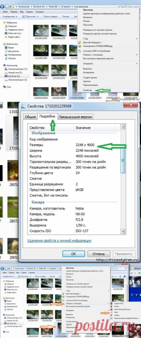 Обработка изображений с помощью Paint для начинающих пользователей