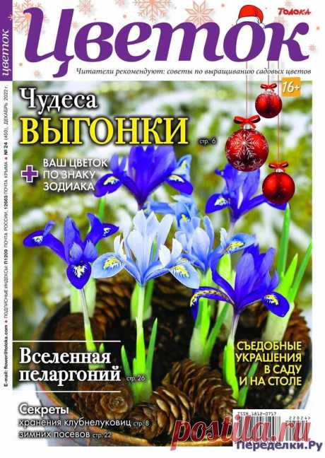 Цветок №24 2022 * Переделки.Ру Цветок №24 2022 Читать журнал ОНЛАЙН