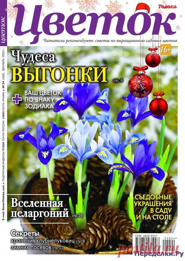 Цветок №24 2022 * Переделки.Ру Цветок №24 2022 Читать журнал ОНЛАЙН
