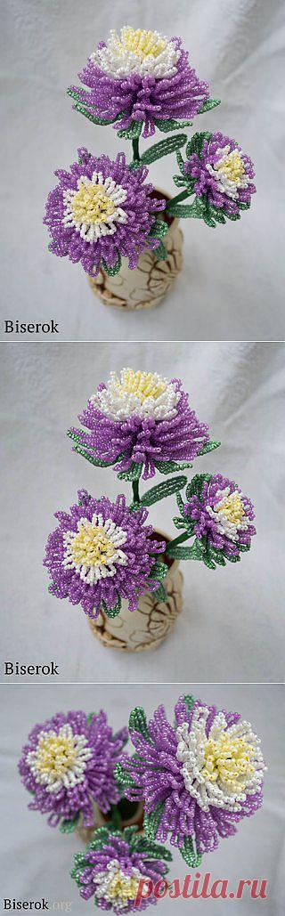 Стена | ВКонтакте