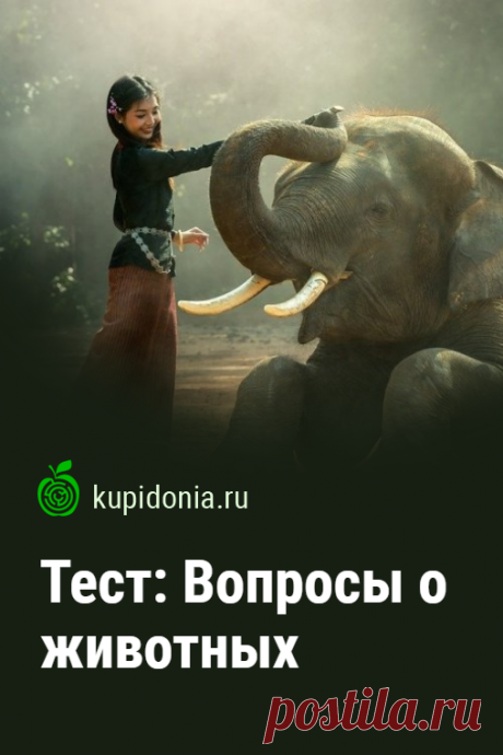 Тест: Вопросы о животных. Интересный тест о животных с вопросами разной сложности. Попробуйте ответить правильно на все!