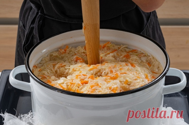 Как заквасить капусту: Что портит вкус, почему капуста горчит и бывает слизкой | С грядки - к столу | Дзен