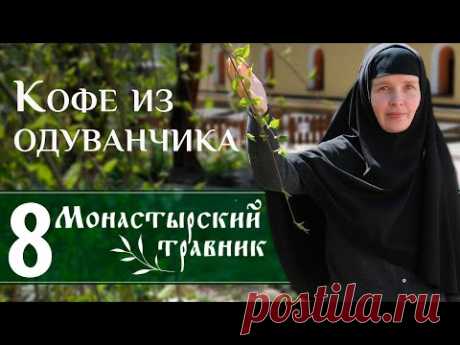 Чем необычен корень обычного одуванчика? Монастырский травник. Кофе из одуванчика