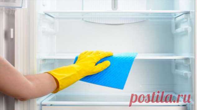 Простой способ, как избавиться от «шубы» в холодильнике, который показал мне тесть. | Люблю Себя