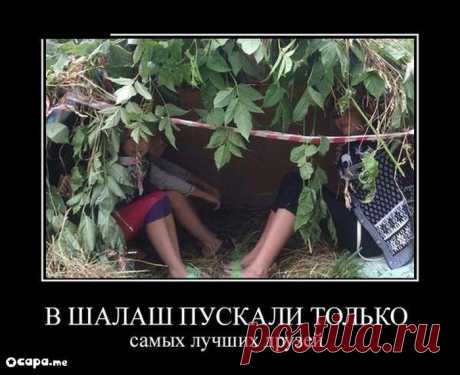 Шалаш