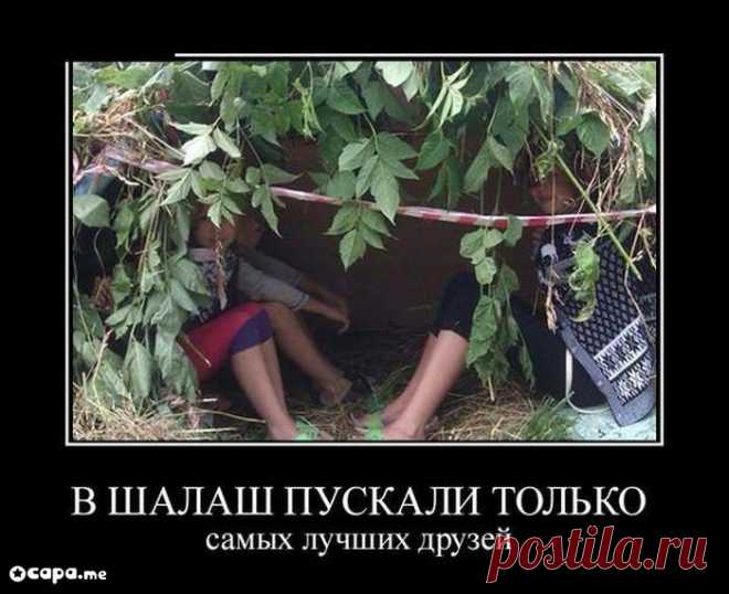 Шалаш