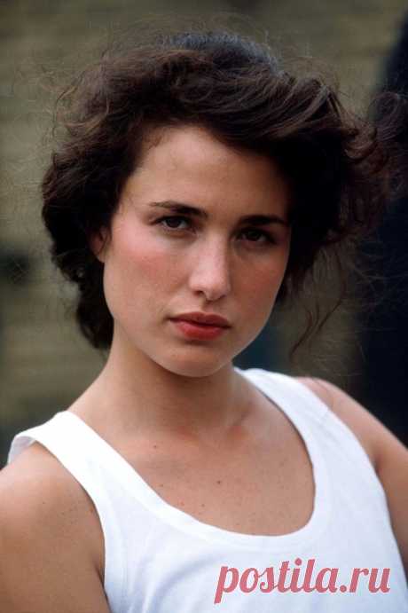 Энди МакДауэлл (Andie MacDowell)
- 21 апреля, 1958