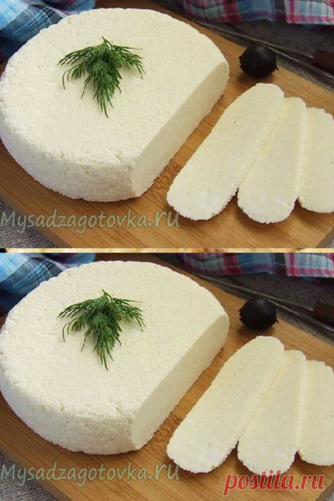 Сыр - Мой сад 🌿