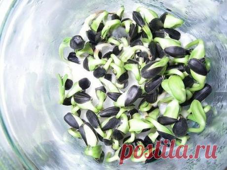 "Встретил я недавно своего давнего друга, да вначале и не узнал его.
Человеку за сорок, а на лице - ни морщинки, кожа чистая, розовая. 
Как в 20 лет. 
Потом разглядел, обнялись, разговорились и рассказал тот свою историю: несколько лет назад поехал в своё родное село и показали ему мужичка и спросили, сколько тому лет на вид: "60 лет", - отвечаю.
Ан нет, говорят, - 97 лет ему!"
И свели с тем мужичком-дедком. Дедок же рассказал свою историю: 
"В 40 лет поставили мне диагноз - рак двенадцатипер