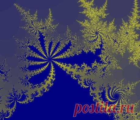 Фрактал, сделан в программе Fractal Explorer