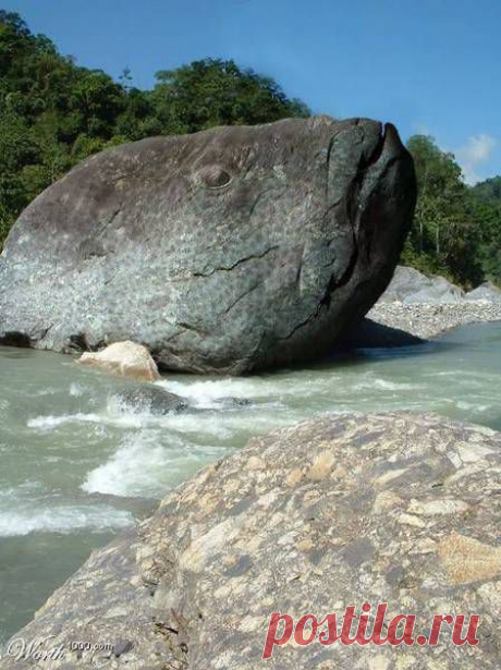Произведение ветра,воды и времени.