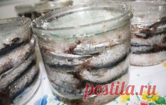Соленая хамса / TVCook: пошаговые кулинарные рецепты c фото