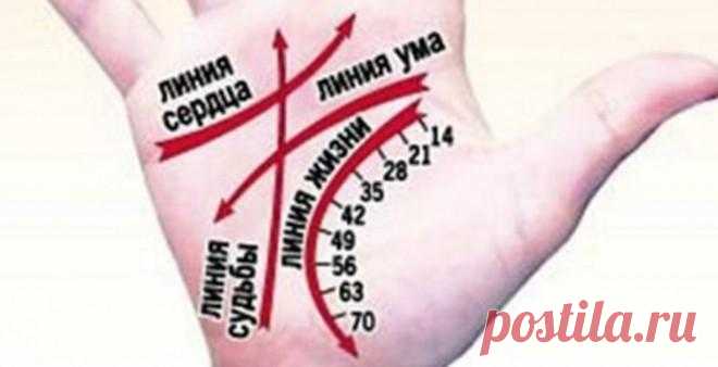 КАК ГАДАТЬ ПО РУКЕ САМОСТОЯТЕЛЬНО?