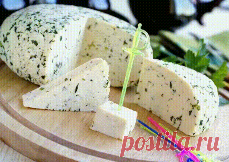 домашний сыр из молока