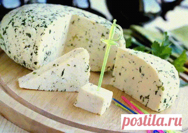 домашний сыр из молока