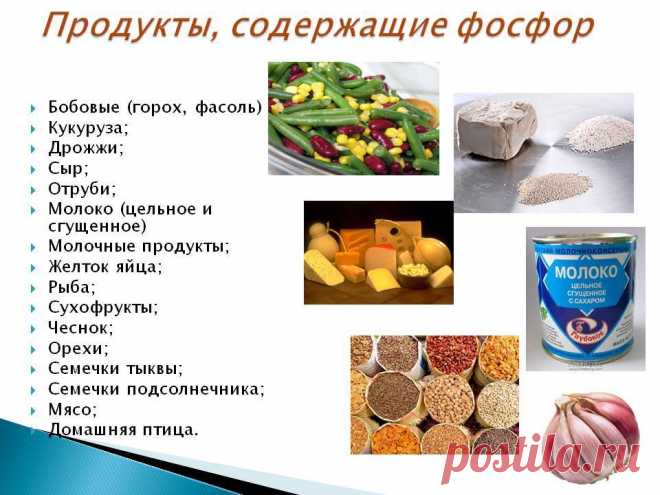 Название: В каких продуктах содержится фосфор - Школьные Знания.com Найдено в Google. Источник: znanija.com