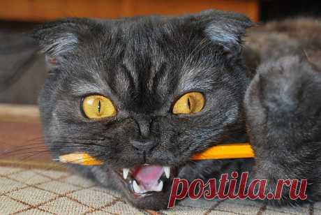 ....ВСЁ для ДАМОЧЕК !!!&quot;&quot;
Елена Елена