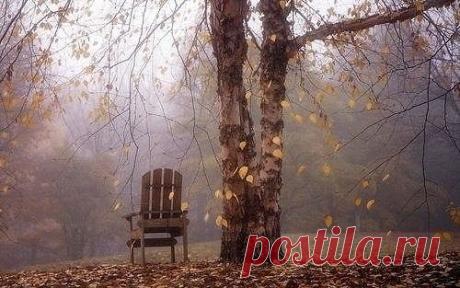 Иосиф Бродский
Я входил вместо дикого зверя в клетку, 
выжигал свой срок и кликуху гвоздем в бараке, 
жил у моря, играл в рулетку, 
обедал черт знает с кем во фраке. 
С высоты ледника я озирал полмира, 
трижды тонул, дважды бывал распорот. 
Бросил страну, что меня вскормила. 
Из забывших меня можно составить город. 
Я слонялся в степях, помнящих вопли гунна, 
надевал на себя что сызнова входит в моду, 
сеял рожь, покрывал черной толью гумна 
и не пил только сухую воду. 
Я впустил в свои сны вор