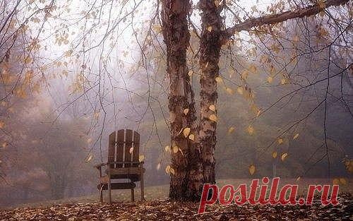 Иосиф Бродский
Я входил вместо дикого зверя в клетку, 
выжигал свой срок и кликуху гвоздем в бараке, 
жил у моря, играл в рулетку, 
обедал черт знает с кем во фраке. 
С высоты ледника я озирал полмира, 
трижды тонул, дважды бывал распорот. 
Бросил страну, что меня вскормила. 
Из забывших меня можно составить город. 
Я слонялся в степях, помнящих вопли гунна, 
надевал на себя что сызнова входит в моду, 
сеял рожь, покрывал черной толью гумна 
и не пил только сухую воду. 
Я впустил в свои сны вор