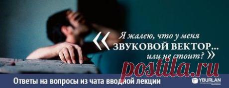 [ Evgeniy - Беляевка ] : Я жалею, что у меня ЗВУКОВОЙ вектор... Или не стоит ??? Есть в нём хоть какие-то плюсы... А то кроме постоянных депрессий я ничего не ощущаю…
