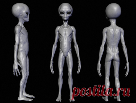 ArtStation - Realistic Aliens sculpt, Oleg Egorov