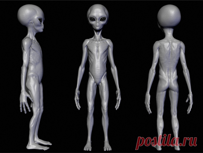 ArtStation - Realistic Aliens sculpt, Oleg Egorov