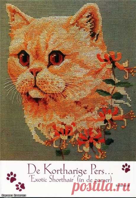 Котофей (схема вышивки).