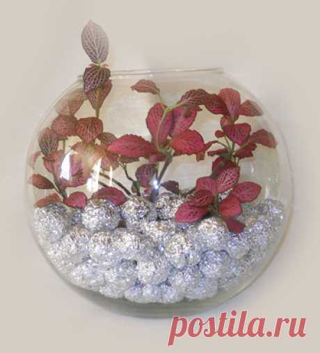Комнатное растение в вазе. Мастер-класс | Домашний hand-made