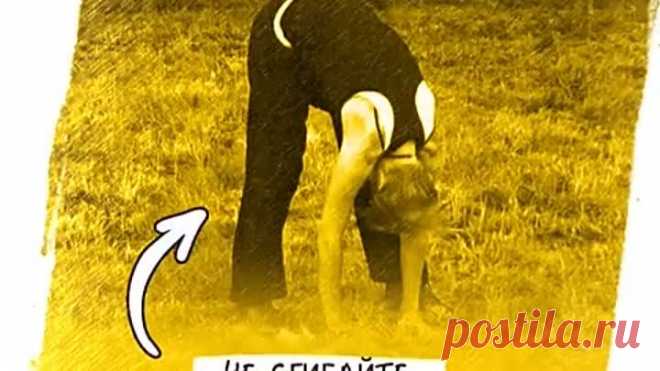 Цигун - техника против старения
