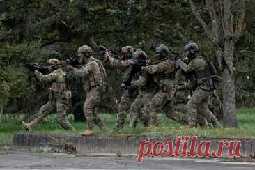 Литва заявила о готовности отправить военных инструкторов на Украину