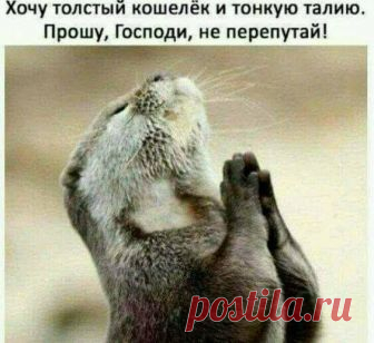 юмор