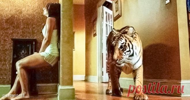 12 фильмов, которые не отпускают до самого конца