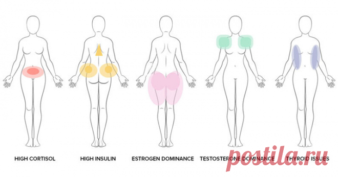 Как договориться с гормонами, которые не дают похудеть - Все обо Всем