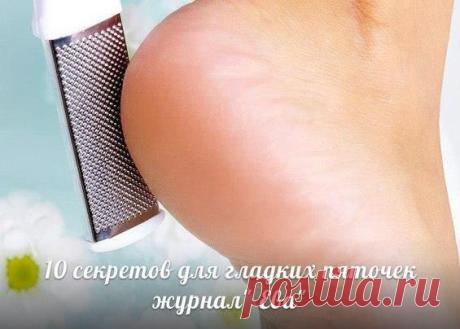 (26) Фото Хроники - Моя территория: советы, рецепты, красота, уют