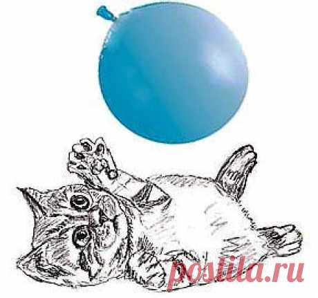 Как нарисовать котенка | Рисунок котенка карандашом