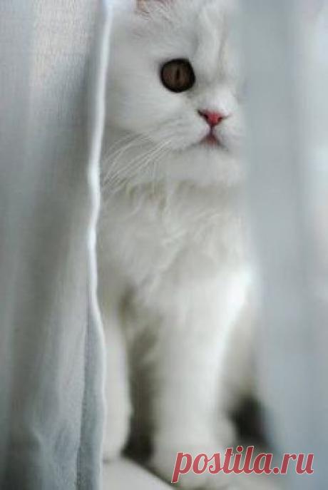 Мне нравится думать, что жизнь способна полностью измениться за несколько часов. Иначе мне было бы скучно жить.
                                                                                 Роберт Дауни (младший)