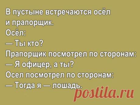 15 классных анекдотов для шикарного настроения на весь день 15 классных анекдотов для шикарного настроения на весь день
Позитив и юмор необходимы для каждого из нас. «Ни дня без улыбки» — наш девиз. 
По-этому мы продолжаем собирать веселые и остроумные анекдот...