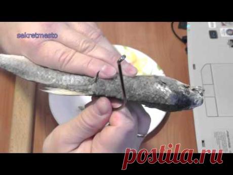 Ловля трофея на живца  Особенности трофейной рыбалки