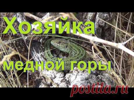 Хозяйка медной горы