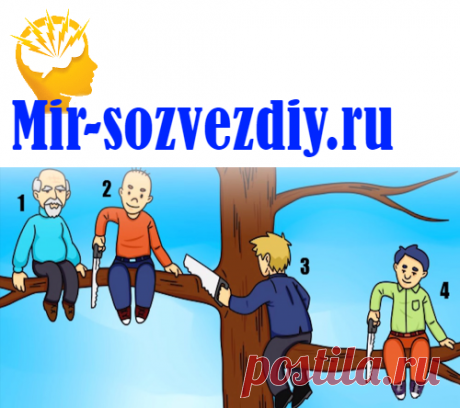 Тест: Как считаете, кто из них упадет первым?