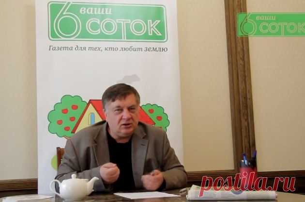 Андрей Туманов отвечает на вопросы дачников(видео) |  sotki.ru | Ваши 6 соток Главный редактор газеты «Ваши 6 соток» Андрей Туманов  выбирает интересные вопросы, которые приходят в редакцию и продолжает отвечать на вопросы от дачников.