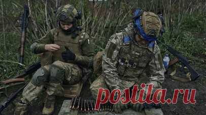 Рогов заявил о попадании ВСУ в «огневой мешок» южнее Курахово. Председатель комиссии Общественной палаты России по вопросам суверенитета Владимир Рогов заявил о попадании украинских военных в «огневой мешок» южнее Курахово. Читать далее