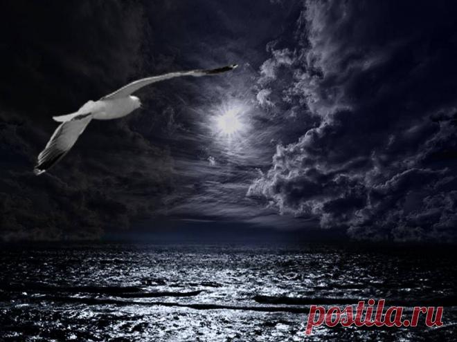 Изумительные морские пейзажи!