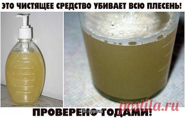 ЭТО ЧИСТЯЩЕЕ СРЕДСТВО УБИВАЕТ ВСЮ ПЛЕСЕНЬ! ПРОВЕРЕНО ГОДАМИ!