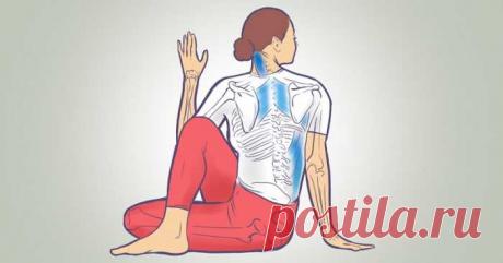 Растяжка «На долгую жизнь и вечную красоту»: целитель рассказал, что нужно делать. Гимнастика здоровья от Александра Дроженникова. — Домашние