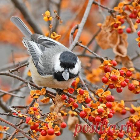 Библия┃Викторина "СЛОВО во мне"