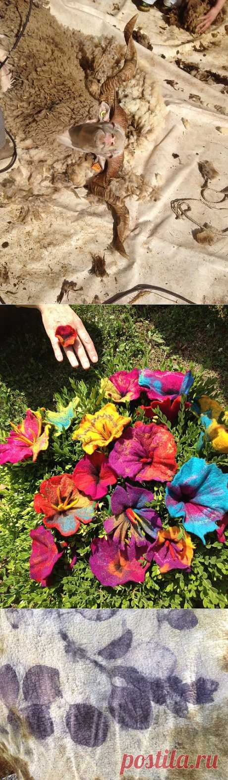 Clasheen by Nicola Brown | The diary of a rural feltmaker. I feel, I find, I felt.
