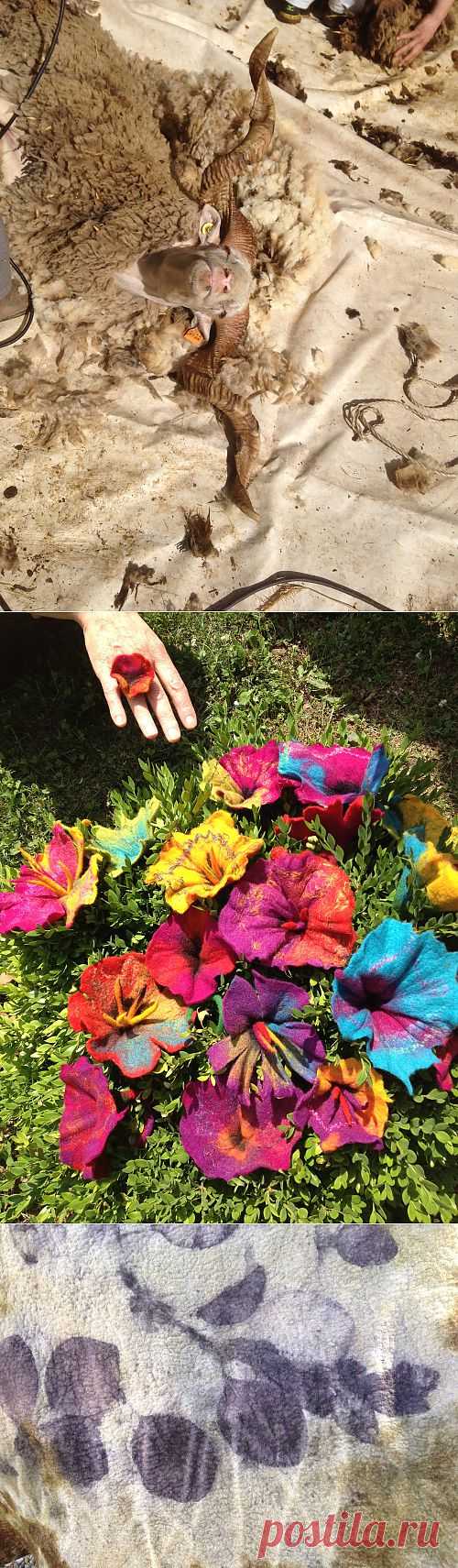 Clasheen by Nicola Brown | The diary of a rural feltmaker. I feel, I find, I felt.