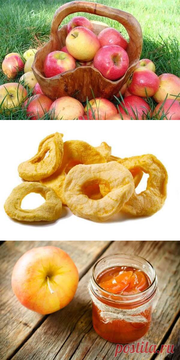 Заготовка яблок на зиму: вкусные рецепты, варенье, компот, сушка