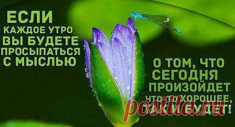 ❤➹➷ ❤Оτ ❤сердца к ❤сердцу ❤➹➷ ❤
❤➹➷ ❤Алёна Я ℓ٥ﻻ ﻉ√٥υ❤➹➷ ❤
